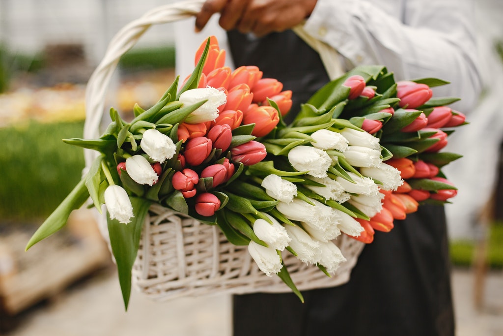 mother's day flowers