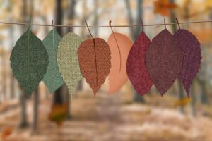 Read more about the article DIY Decor Ideas That Use Beautiful Fall Colors