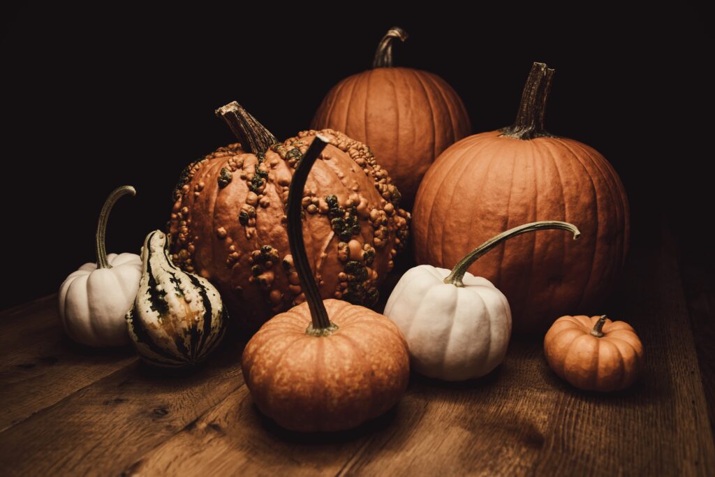 pile of pumpkins