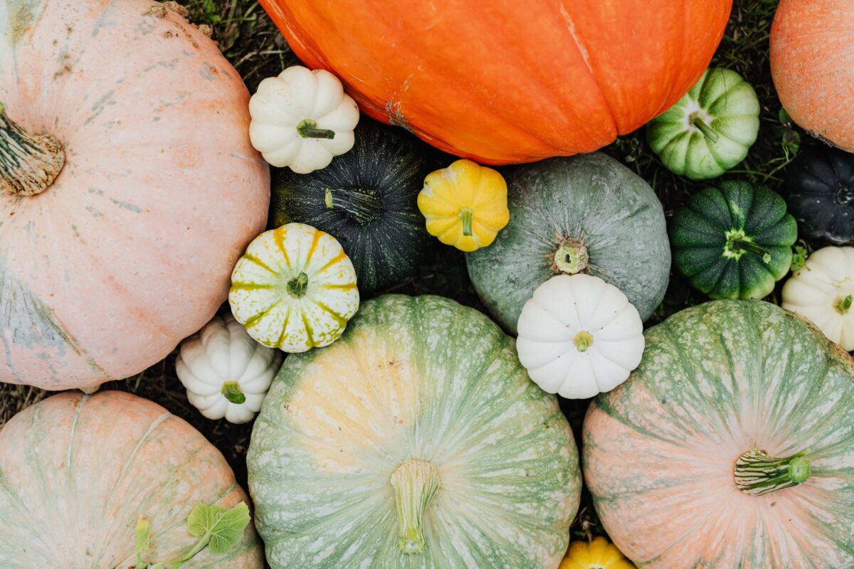 Read more about the article The Pumpkin Craft More People Are Making for Fall and Halloween